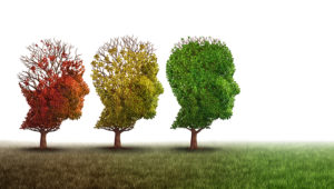 Dementia and mental health recovery treatment and Alzheimer brain memory disease therapy concept as old trees recovering as a neurology or psychology and psychiatry cure metaphor with 3D illustration elements on a white background.